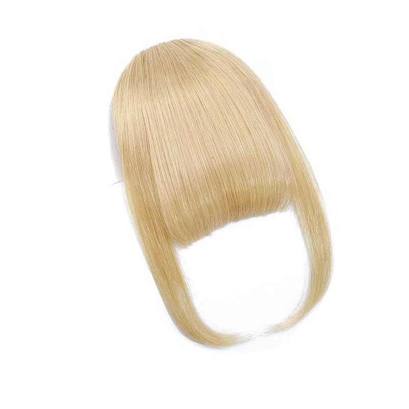 Clip In Bangs for Women,French Bangs Hair Clip with Temples, 100% Real Human Hair